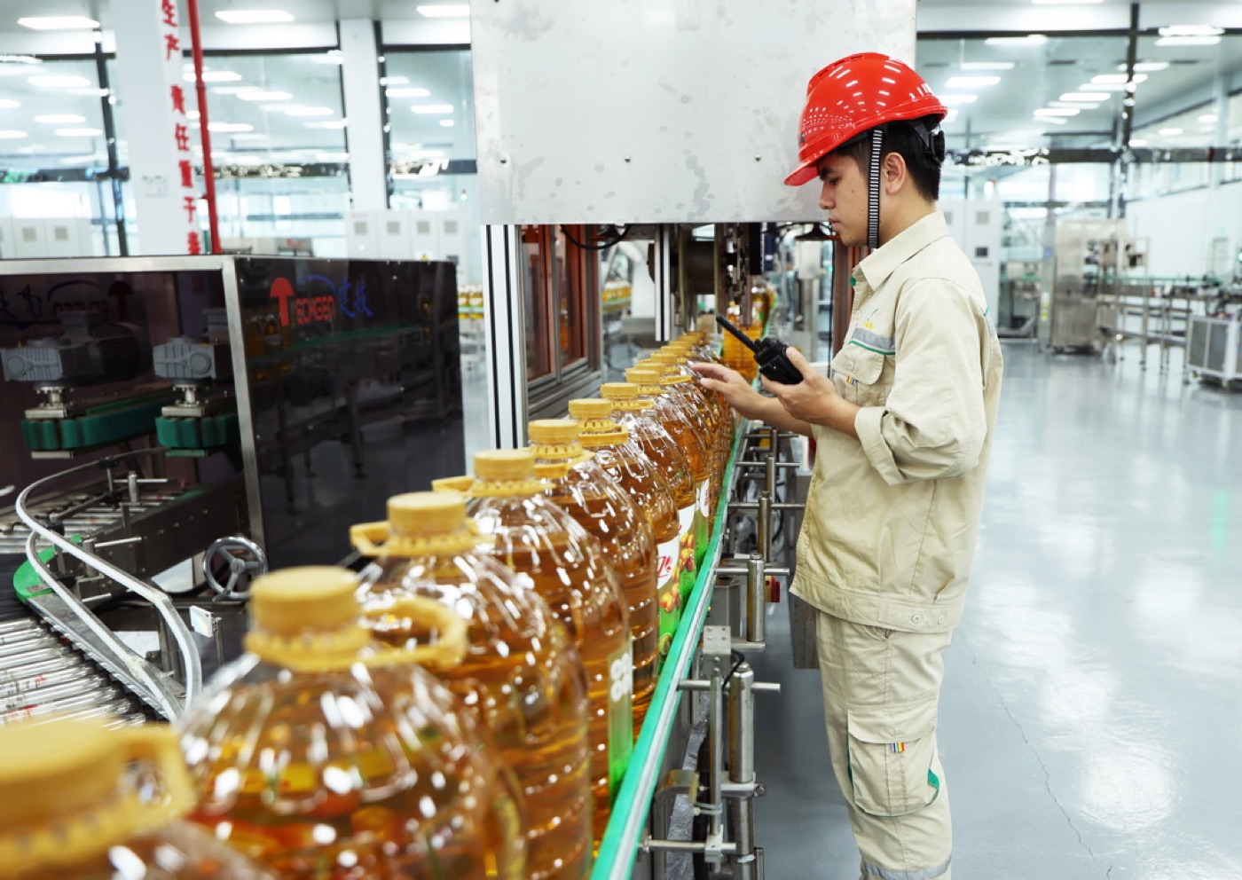 海南加工增值30%内销免关税政策：产业链延伸与产业集群形成的核心引擎